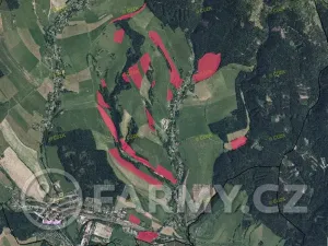 Prodej louky, Meziměstí, 696000 m2