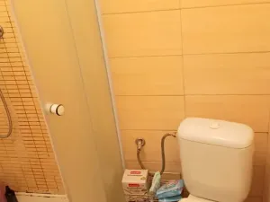 Pronájem bytu 1+kk, Praha - Nusle, Na Vítězné pláni, 26 m2