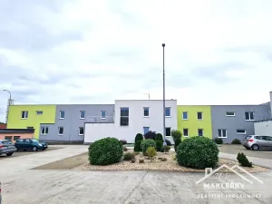 Pronájem bytu 3+kk, Pečky, V Kaštánkách, 92 m2