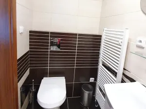 Pronájem bytu 1+kk, Praha - Braník, Za mlýnem, 24 m2