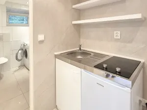 Pronájem bytu 1+kk, Praha - Podolí, Levá, 25 m2