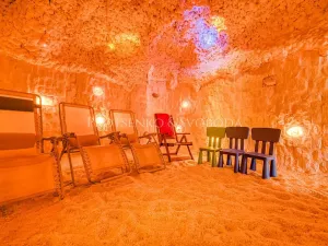 Prodej ubytování, Batelov, Třešťská, 490 m2