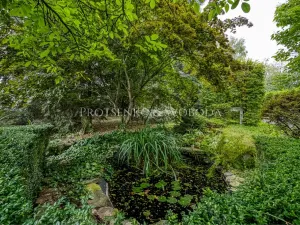 Prodej rodinného domu, Pavlov, 354 m2