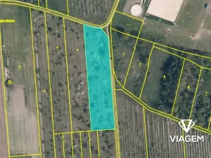 Prodej podílu zahrady, Dobříň, 3169 m2