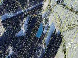 Prodej lesa, Česká Třebová, 3842 m2