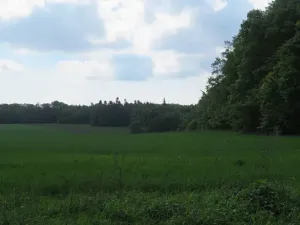 Dražba pole, Niva, 7239 m2