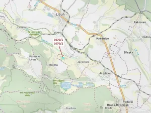 Dražba lesa, Kněžnice, 2271 m2