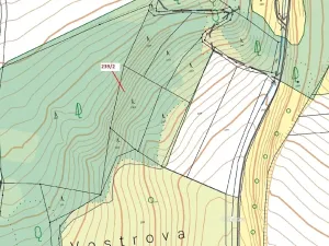 Dražba lesa, Jenišovice, 2305 m2