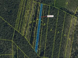 Dražba lesa, Vracov, 1174 m2