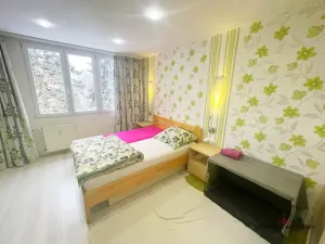 Prodej bytu 2+1, Karlovy Vary, Gagarinova, 64 m2