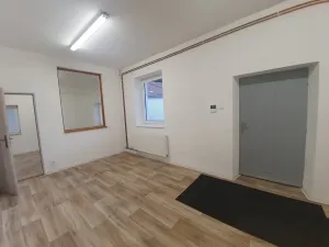 Pronájem výrobních prostor, Bílovice nad Svitavou, Obřanská, 249 m2