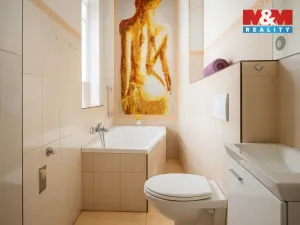 Prodej rodinného domu, Písek - Budějovické Předměstí, Tyršova, 315 m2