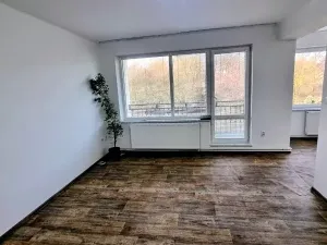 Prodej bytu 3+1, Bítovčice, 83 m2