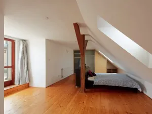 Pronájem bytu 4+kk, Praha - Nusle, Mojmírova, 205 m2