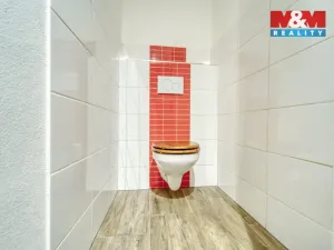 Pronájem bytu 5+kk, Holýšov, Politických vězňů, 162 m2