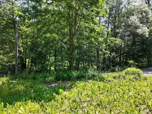 Prodej pozemku pro bydlení, Rokytnice v Orlických horách, 271 m2