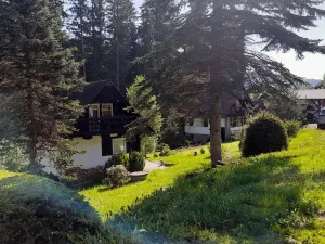 Prodej ubytování, Horní Vltavice, 970 m2