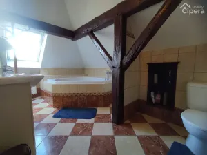 Pronájem bytu, Mirošovice, Karlín, 15 m2