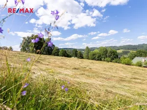 Prodej pozemku pro bydlení, Semily, 1962 m2