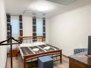 Pronájem ubytování, Valtice, Josefská, 251 m2