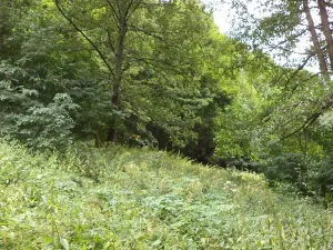 Dražba pozemku pro bydlení, Svoboda nad Úpou, 947 m2