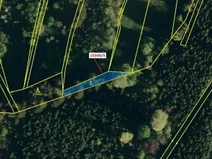 Dražba lesa, Hovězí, 312 m2