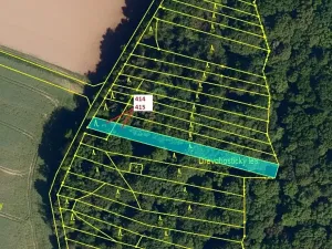 Dražba lesa, Hradčany-Kobeřice, 975 m2