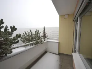 Pronájem bytu 3+kk, Brno, Majdalenky, 161 m2