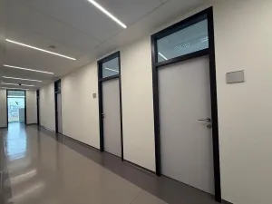 Pronájem kanceláře, Brno - Štýřice, Pražákova, 38 m2