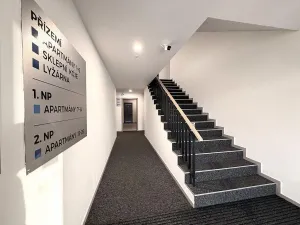 Prodej chaty, Dolní Morava - Velká Morava, 54 m2