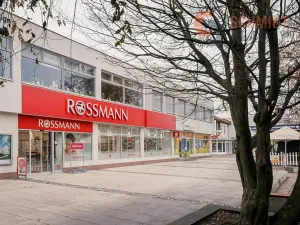 Pronájem obchodního prostoru, Břeclav, J. Palacha, 382 m2