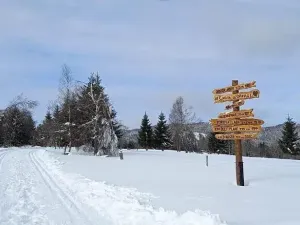 Prodej pozemku pro bydlení, Strážný, 5195 m2