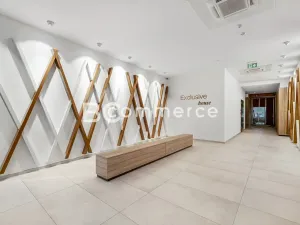 Pronájem kanceláře, Brno, 310 m2