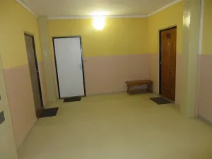 Prodej bytu 1+1, Hluk, Závodní, 42 m2