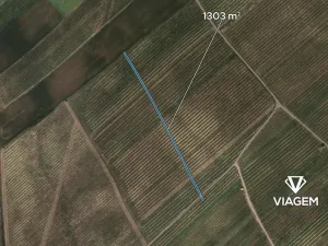 Prodej pole, Prušánky, 1303 m2