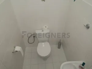 Pronájem rodinného domu, Brno, Hatě, 370 m2