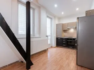 Pronájem bytu 1+1, Krupka, Bohosudovská, 45 m2