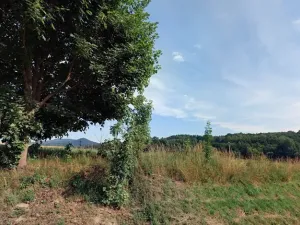 Prodej pole, Jablonné v Podještědí, 18441 m2