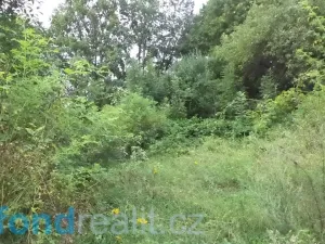 Prodej pozemku, Dolní Dobrouč, 34731 m2