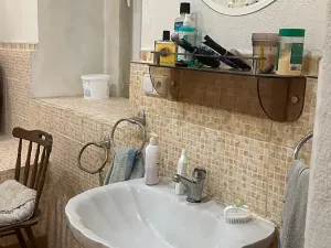 Prodej rodinného domu, Líský, 250 m2