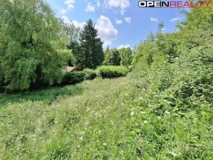 Prodej rodinného domu, Žítková, 80 m2