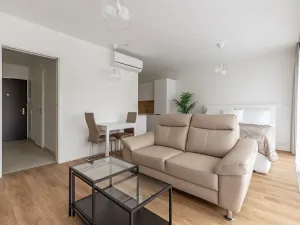 Pronájem bytu 1+kk, Brno, Lidická, 41 m2