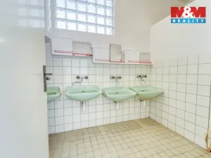 Prodej rodinného domu, Břasy - Vranovice, 158 m2