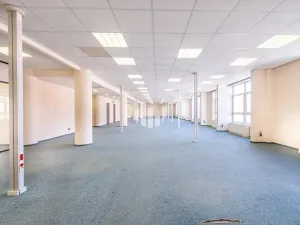 Pronájem obchodního prostoru, Praha - Holešovice, Na Maninách, 360 m2