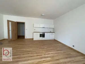 Prodej bytu 1+kk, České Budějovice, České Vrbné, 45 m2