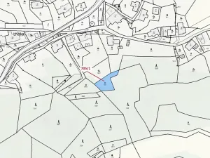 Dražba louky, Zlatá Olešnice, 438 m2