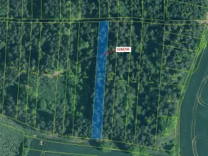 Dražba lesa, Hosty, 1630 m2