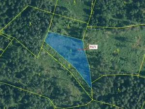 Dražba lesa, Pačejov, 3251 m2