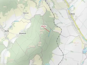 Dražba lesa, Nová Hradečná, 12014 m2