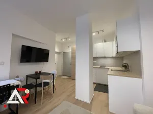 Pronájem bytu 1+kk, Brno, Jánská, 42 m2